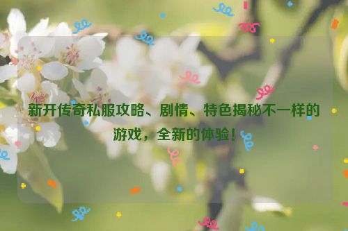 新开传奇私服攻略、剧情、特色揭秘不一样的游戏，全新的体验！