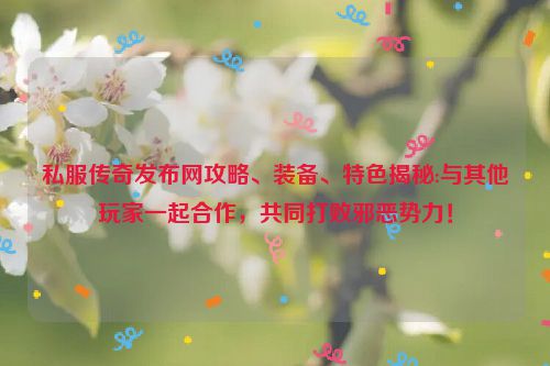 私服传奇发布网攻略、装备、特色揭秘:与其他玩家一起合作，共同打败邪恶势力！