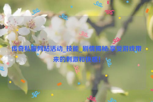 传奇私服网站活动_技能_剧情揭秘:享受游戏带来的刺激和快感！