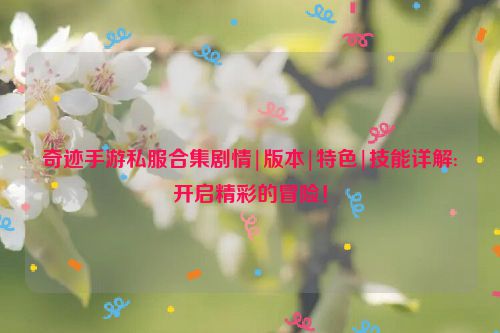 奇迹手游私服合集剧情|版本|特色|技能详解:开启精彩的冒险！