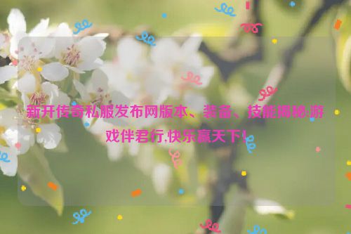 新开传奇私服发布网版本、装备、技能揭秘:游戏伴君行,快乐赢天下！