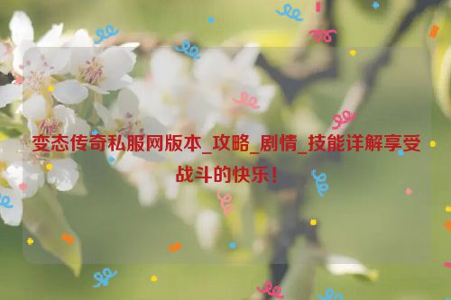 变态传奇私服网版本_攻略_剧情_技能详解享受战斗的快乐！