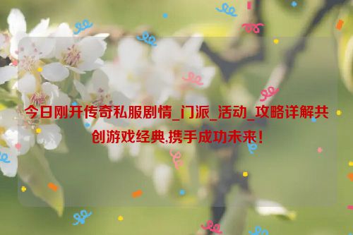 今日刚开传奇私服剧情_门派_活动_攻略详解共创游戏经典,携手成功未来！