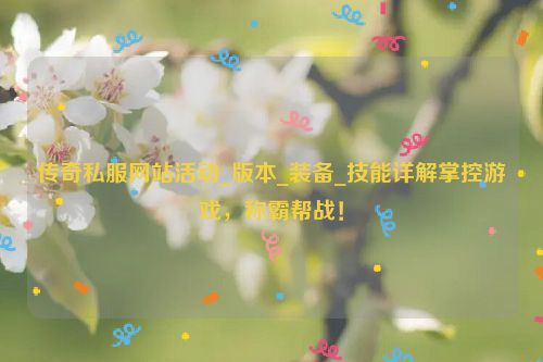 传奇私服网站活动_版本_装备_技能详解掌控游戏，称霸帮战！