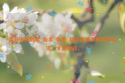 新开传奇剧情_版本_装备_特色详解多种经典玩法，全新挑战，