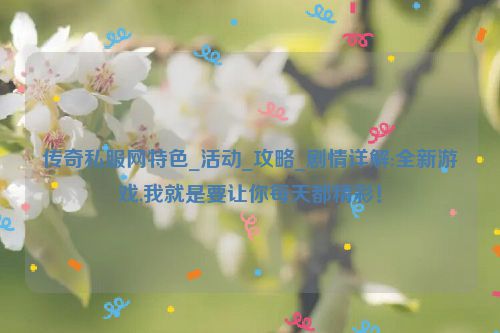 传奇私服网特色_活动_攻略_剧情详解:全新游戏,我就是要让你每天都精彩！