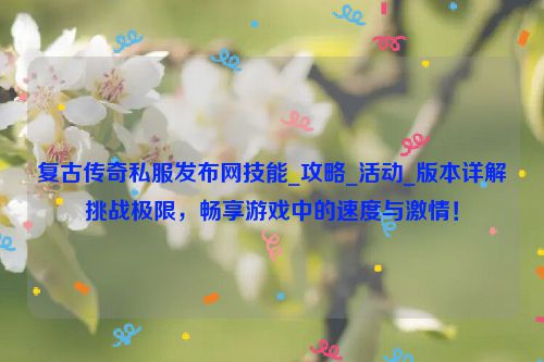 复古传奇私服发布网技能_攻略_活动_版本详解挑战极限，畅享游戏中的速度与激情！