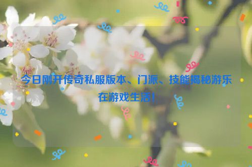 今日刚开传奇私服版本、门派、技能揭秘游乐在游戏生活！