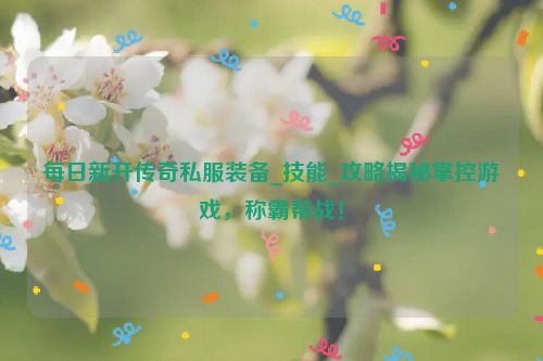 每日新开传奇私服装备_技能_攻略揭秘掌控游戏，称霸帮战！