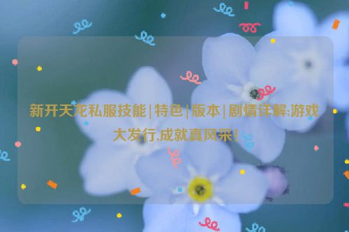 新开天龙私服技能|特色|版本|剧情详解:游戏大发行,成就真风采！