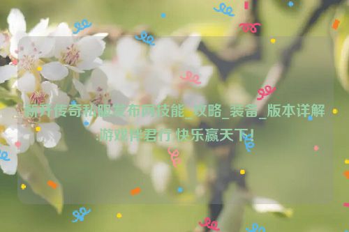 新开传奇私服发布网技能_攻略_装备_版本详解:游戏伴君行,快乐赢天下！