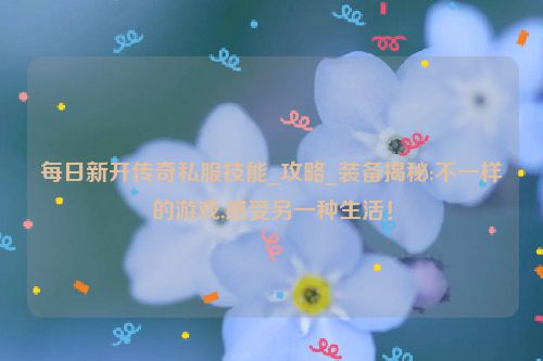 每日新开传奇私服技能_攻略_装备揭秘:不一样的游戏,感受另一种生活！