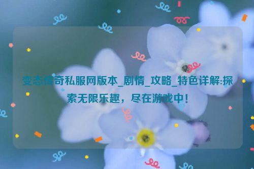 变态传奇私服网版本_剧情_攻略_特色详解:探索无限乐趣，尽在游戏中！