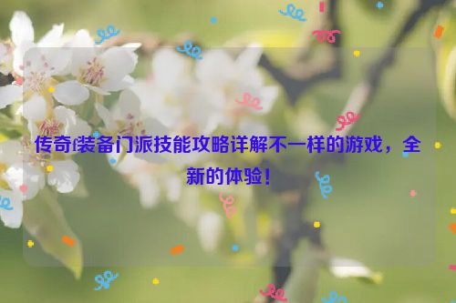 传奇f装备门派技能攻略详解不一样的游戏，全新的体验！