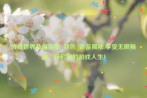 传奇世界私服版本_特色_装备揭秘:享受无限畅游，开启你的游戏人生！