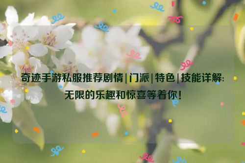 奇迹手游私服推荐剧情|门派|特色|技能详解:无限的乐趣和惊喜等着你！