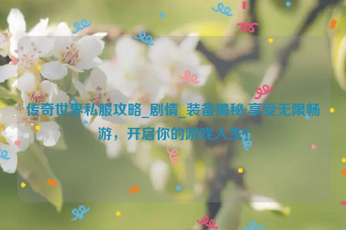 传奇世界私服攻略_剧情_装备揭秘:享受无限畅游，开启你的游戏人生！