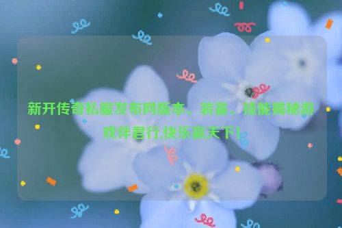 新开传奇私服发布网版本、装备、技能揭秘游戏伴君行,快乐赢天下！