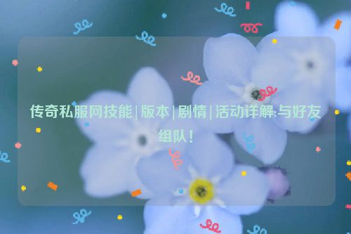 传奇私服网技能|版本|剧情|活动详解:与好友组队！