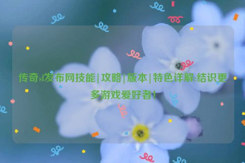 传奇sf发布网技能|攻略|版本|特色详解:结识更多游戏爱好者！