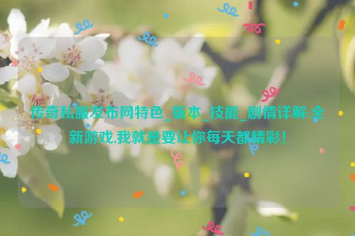 传奇私服发布网特色_版本_技能_剧情详解:全新游戏,我就是要让你每天都精彩！