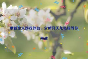 重新定义游戏体验，全新开天龙私服等你来战