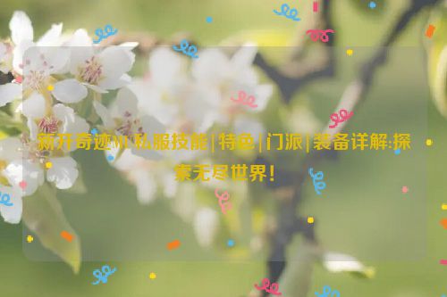 新开奇迹MU私服技能|特色|门派|装备详解:探索无尽世界！