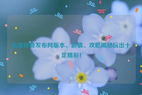 私服传奇发布网版本、剧情、攻略揭秘玩出十足精彩！