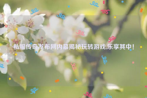 私服传奇发布网内幕揭秘玩转游戏,乐享其中！