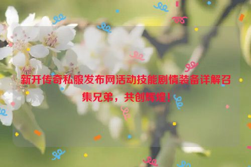 新开传奇私服发布网活动技能剧情装备详解召集兄弟，共创辉煌！