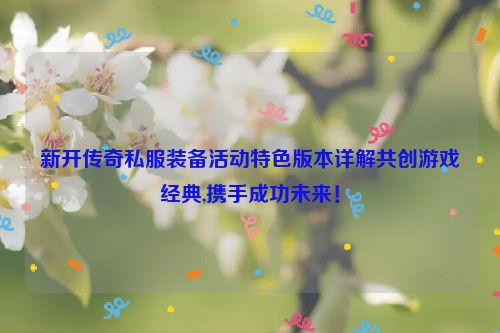 新开传奇私服装备活动特色版本详解共创游戏经典,携手成功未来！