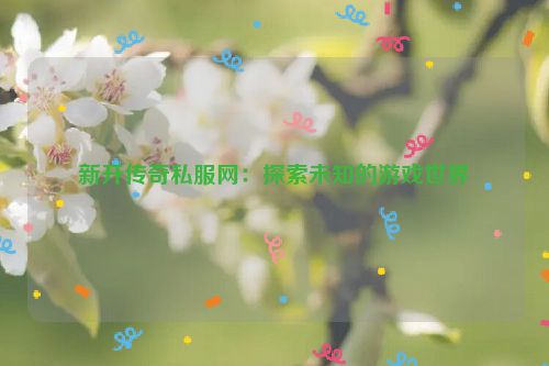 新开传奇私服网：探索未知的游戏世界