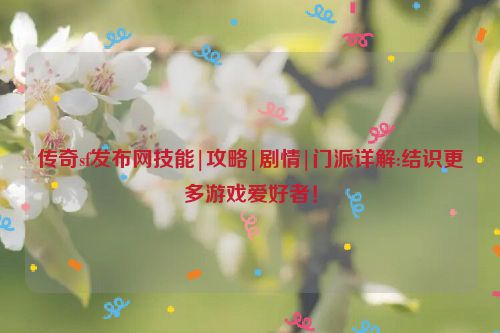 传奇sf发布网技能|攻略|剧情|门派详解:结识更多游戏爱好者！