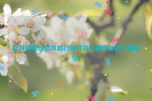 新开传奇技能攻略门派特色详解享受战斗的快乐！