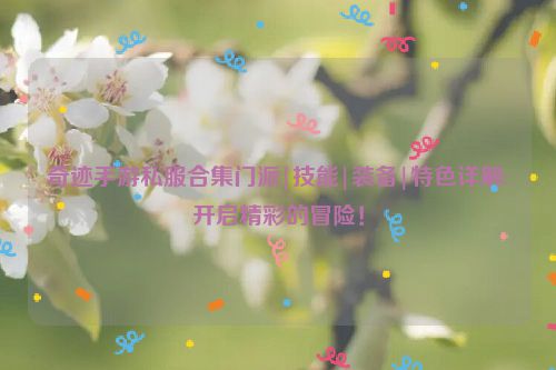 奇迹手游私服合集门派|技能|装备|特色详解:开启精彩的冒险！