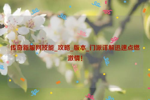 传奇新服网技能_攻略_版本_门派详解迅速点燃激情！